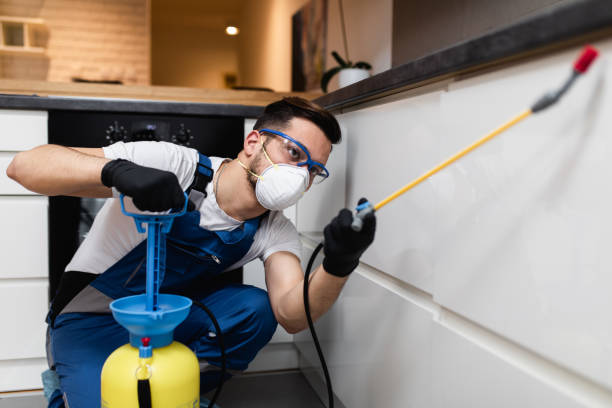 Best Affordable Pest Control Services  in Eagle Point, AL