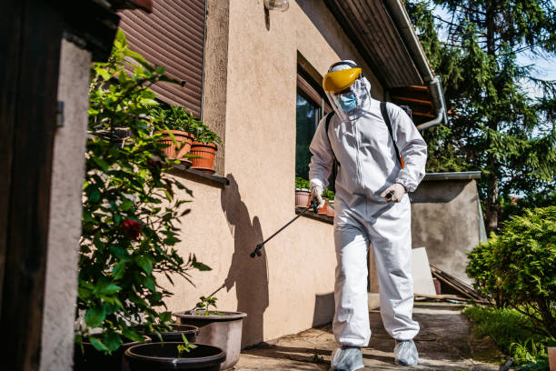 Best Bed Bug Extermination  in Eagle Point, AL