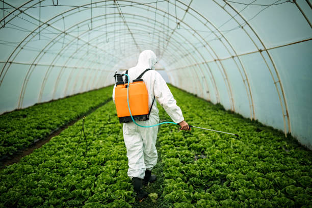 Best Commercial Pest Control Services  in Eagle Point, AL