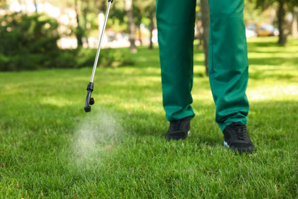 Best Local Pest Control Services  in Eagle Point, AL