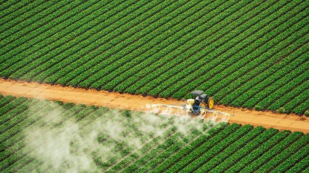 Best Insect Control  in Eagle Point, AL