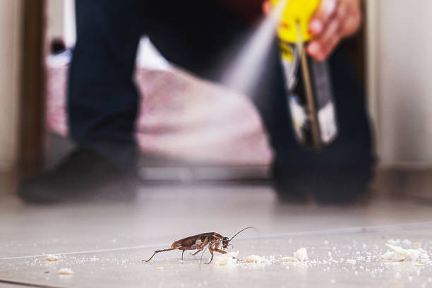 Best Emergency Pest Control  in Eagle Point, AL