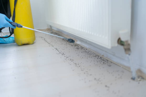 Best Best Pest Control Companies  in Eagle Point, AL