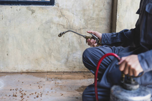 Best Pest Control Near Me in Eagle Point, AL