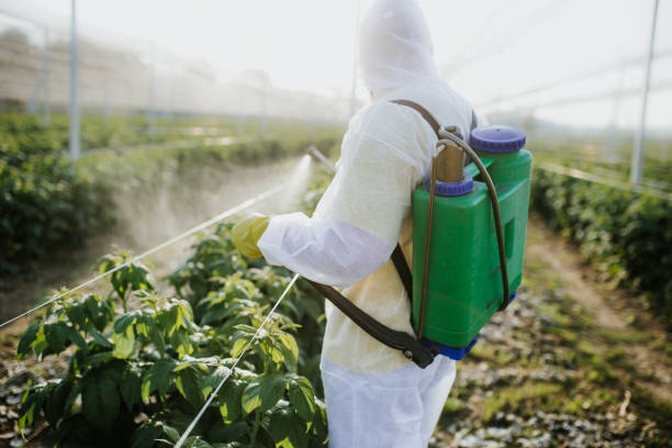 Best Residential Pest Control  in Eagle Point, AL